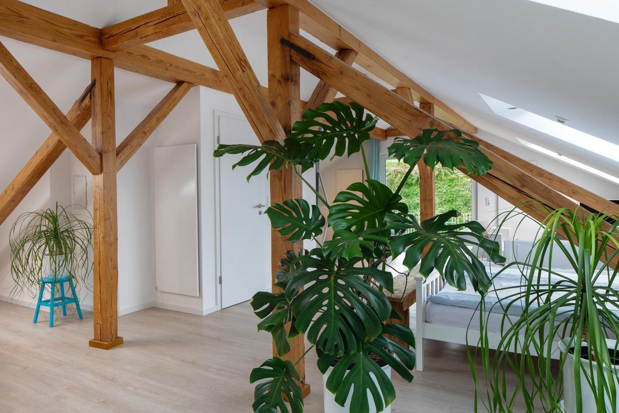 Ferienhaus Engelsberghof Endingen am Kaiserstuhl Exteriér fotografie